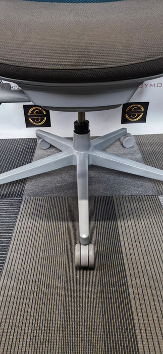 HAWORTH FERM / 4D ARMS / FULL SPEC